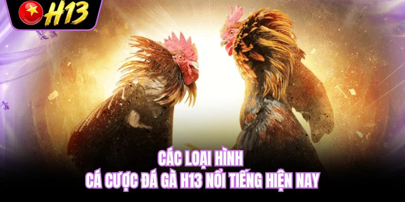 Các loại hình cá cược đá gà H13 nổi tiếng hiện nay
