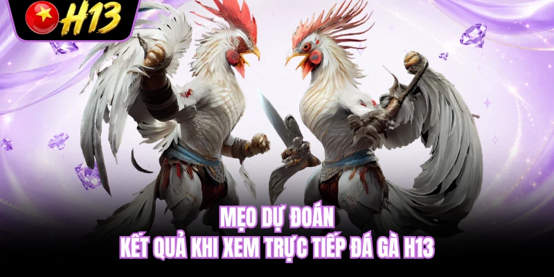 Mẹo dự đoán kết quả khi xem trực tiếp đá gà H13